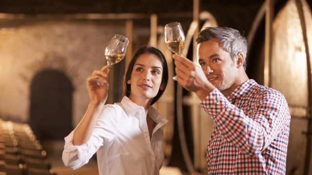 Dégustation de vins et pique-nique